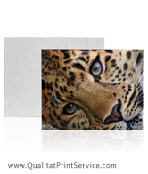 Brampton Custom Puzzles